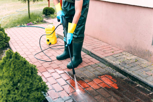 Best House Exterior Washing  in Grafton, WV